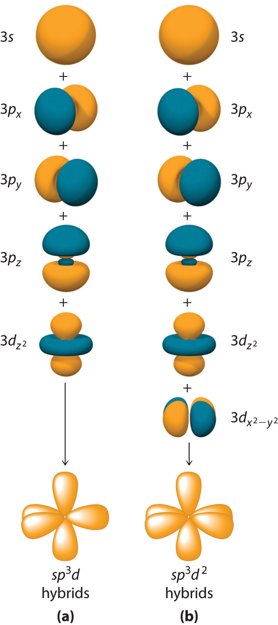 Types Of Hybrid Orbitals