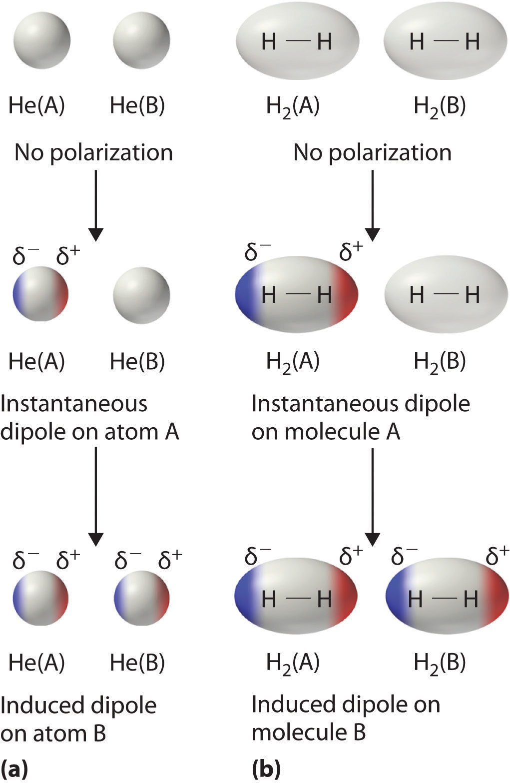 molecular dipole moment definition