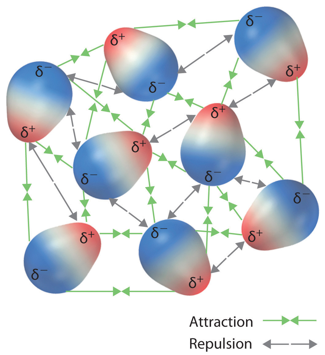 Intermolecular Forces