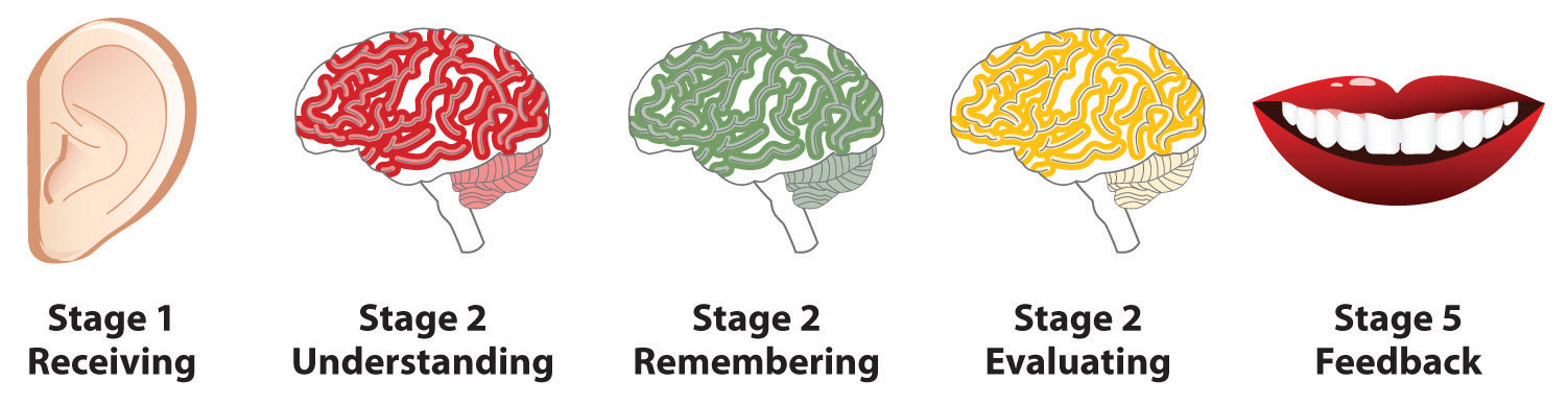 Stages Of Listening