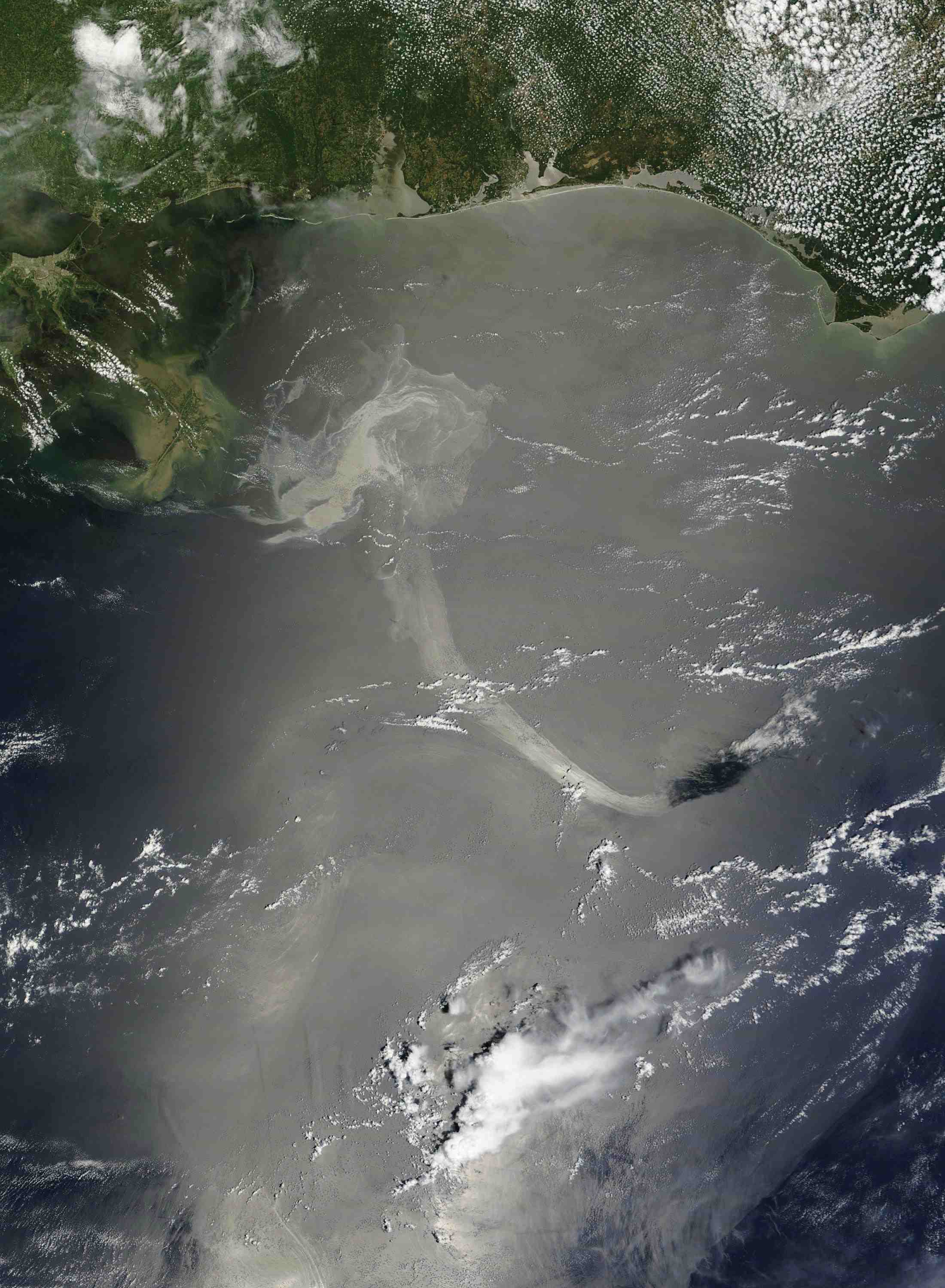 Crude oil coats the water’s surface in the Gulf of Mexico after the Deepwater Horizon oil rig sank following an explosion.