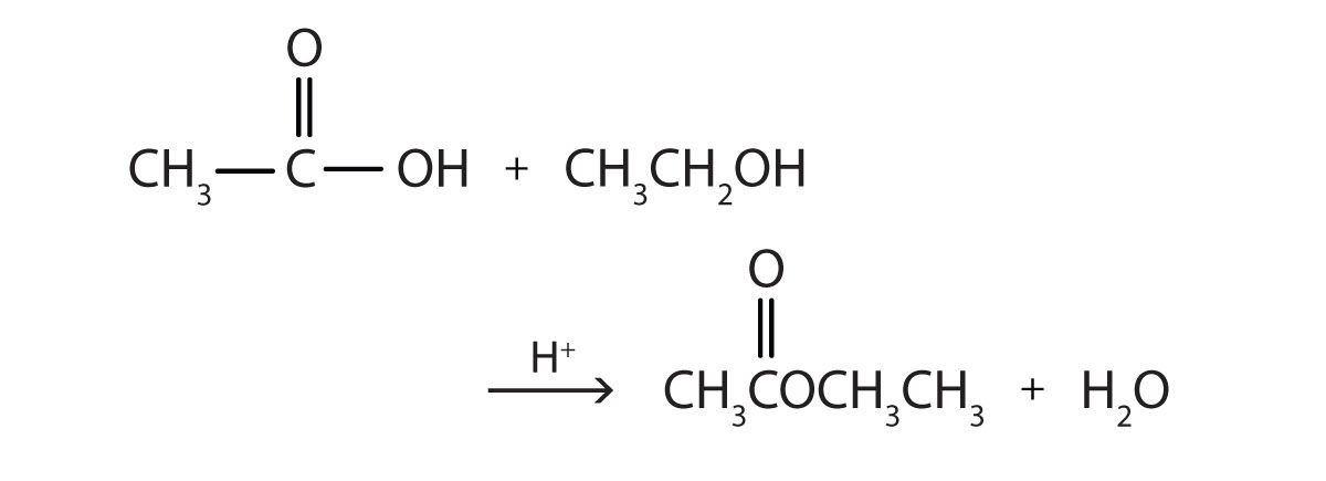 The reaction of acetic acid and ethanol produces the corresponding ester Ethyl acetate and water.