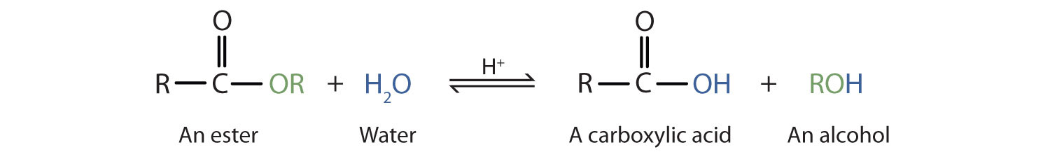 The hydrolyzation of ester produces the corresponding acid and alcohol.