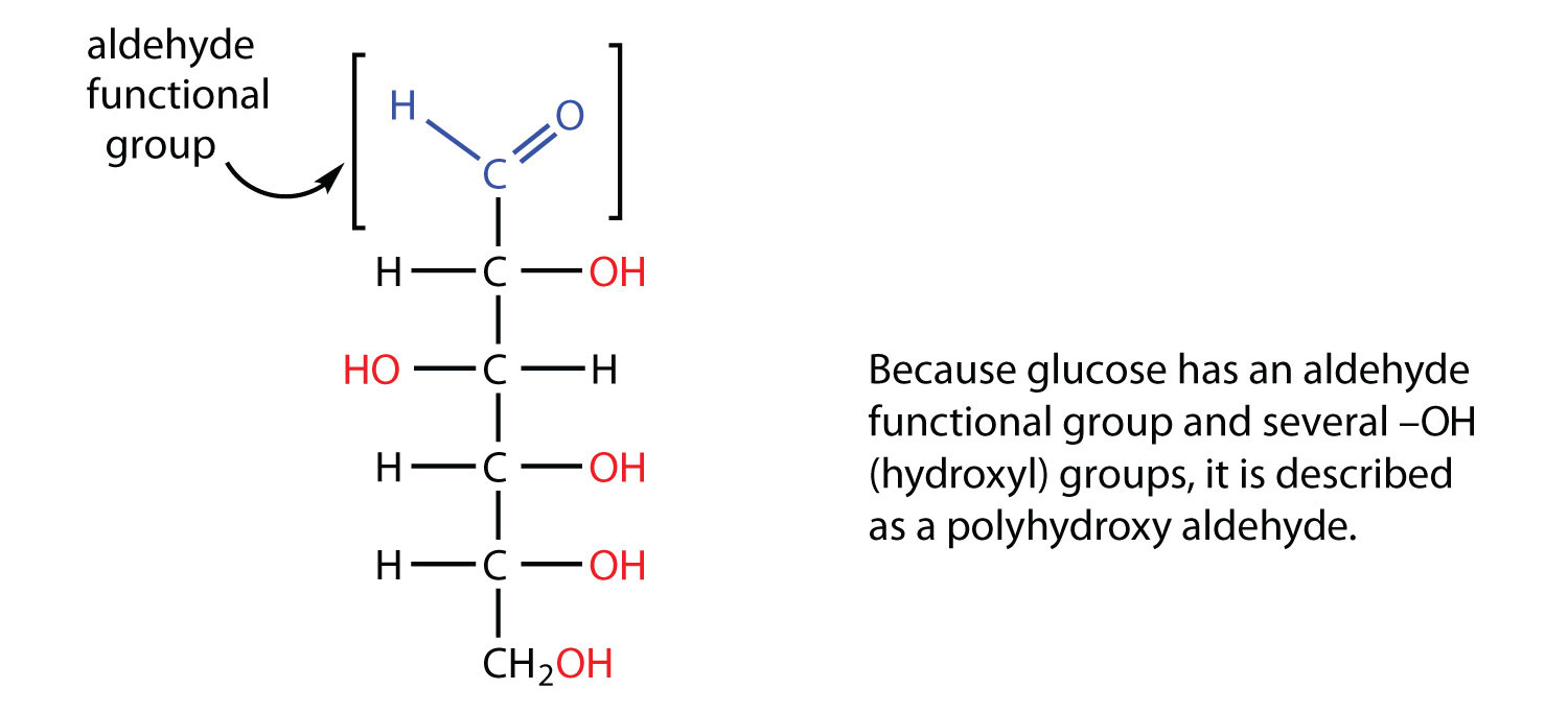 basic-carbohydrate-chemical-structure