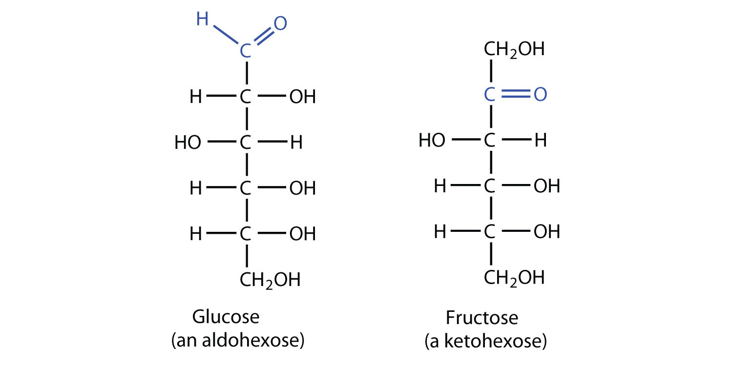 What is an example of a monosaccharide?
