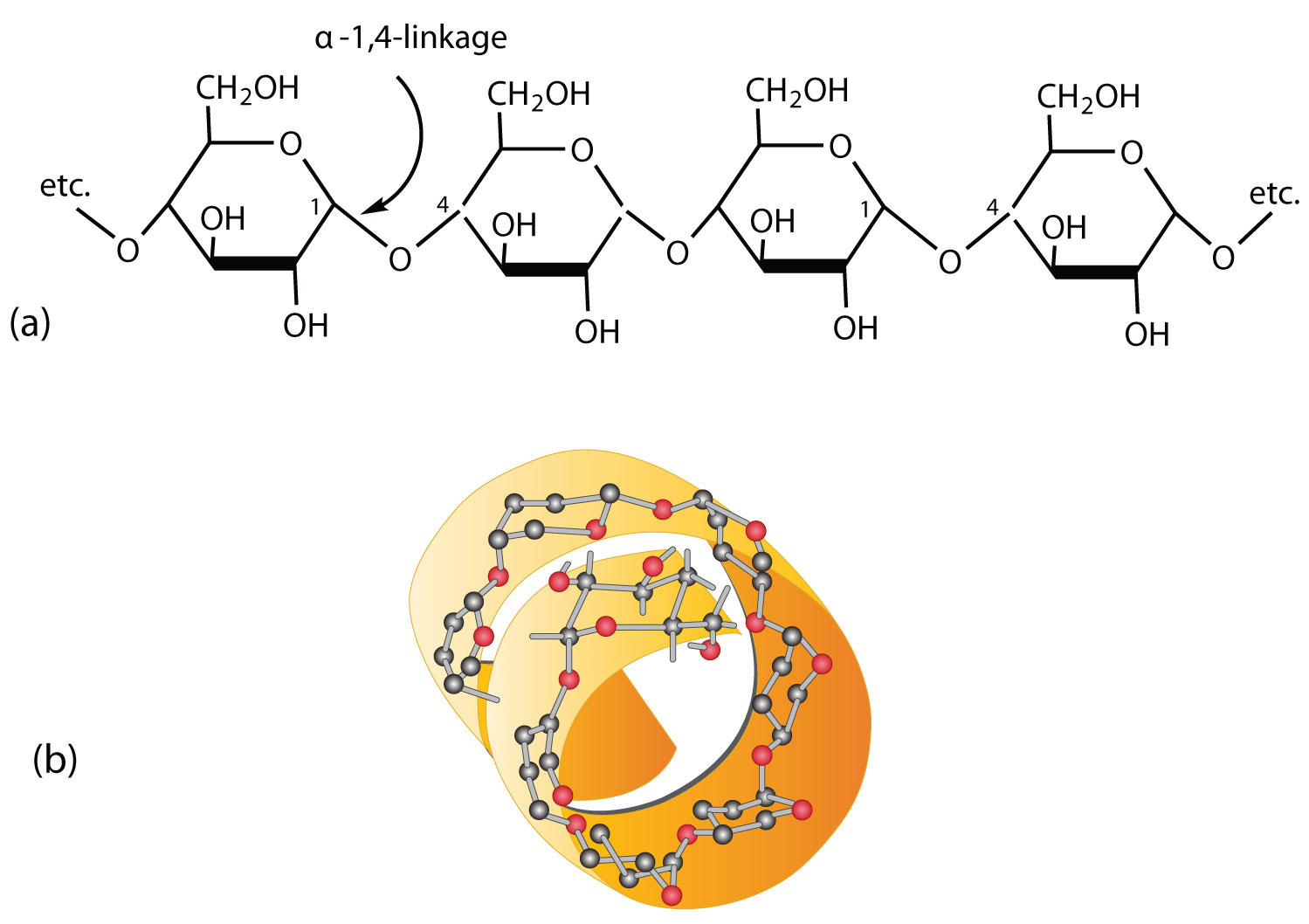 Polysaccharides