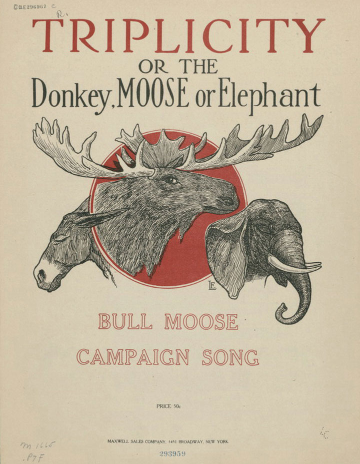 Free Shipping! *NEW* Bull Moose 1912 Election Board Game 