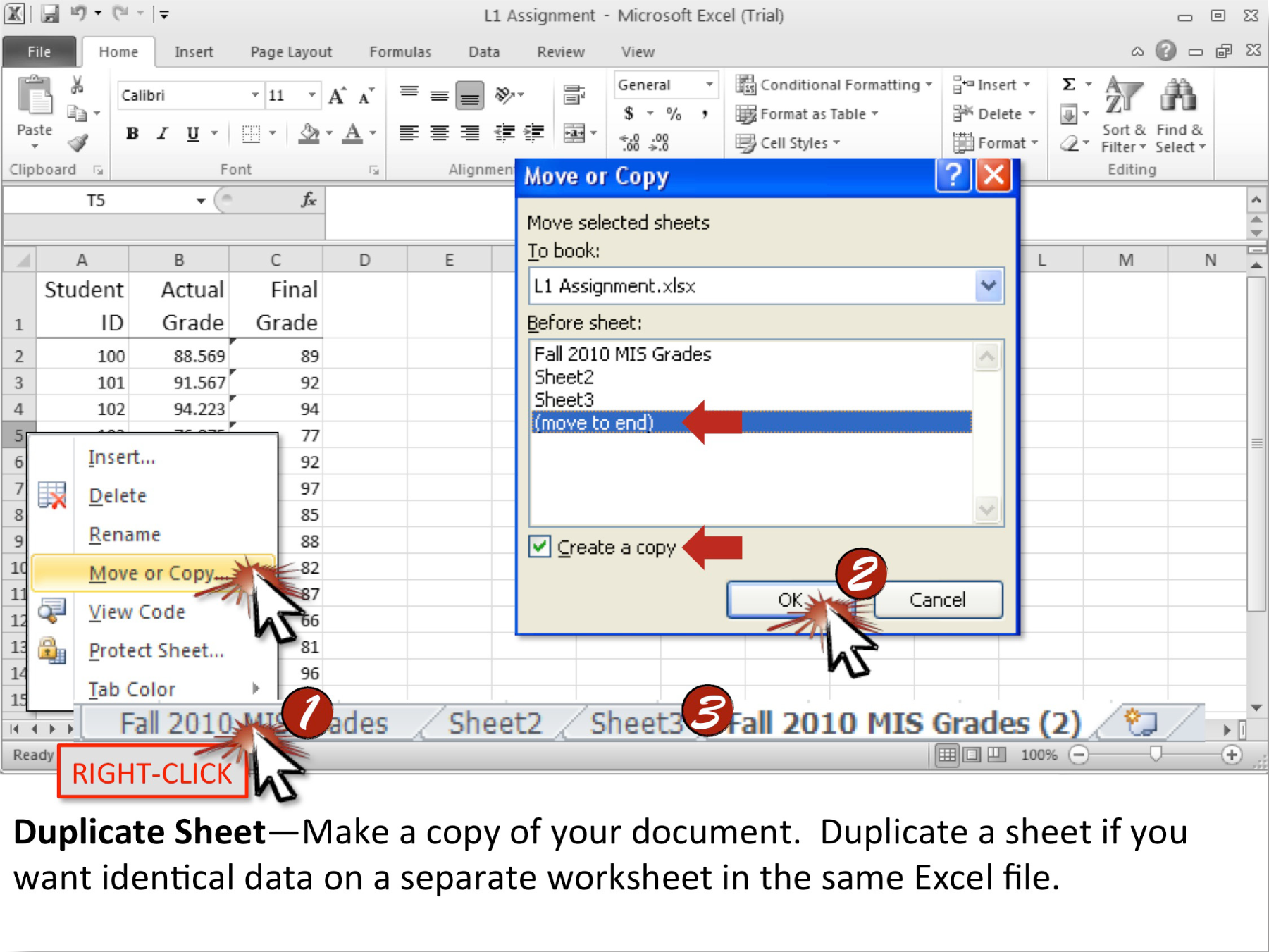 Microsoft Excel Techniques 2069