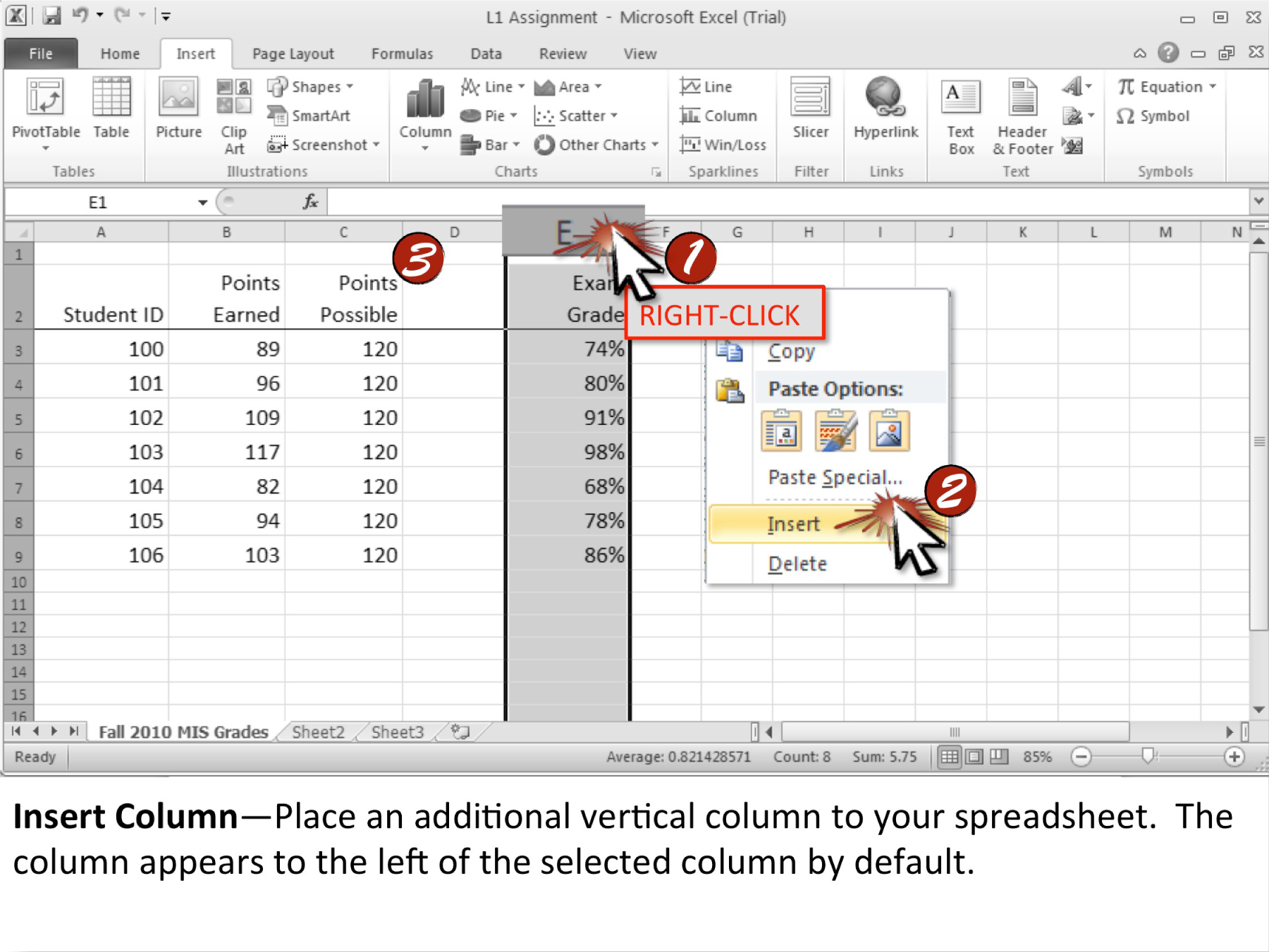 Microsoft Excel Techniques