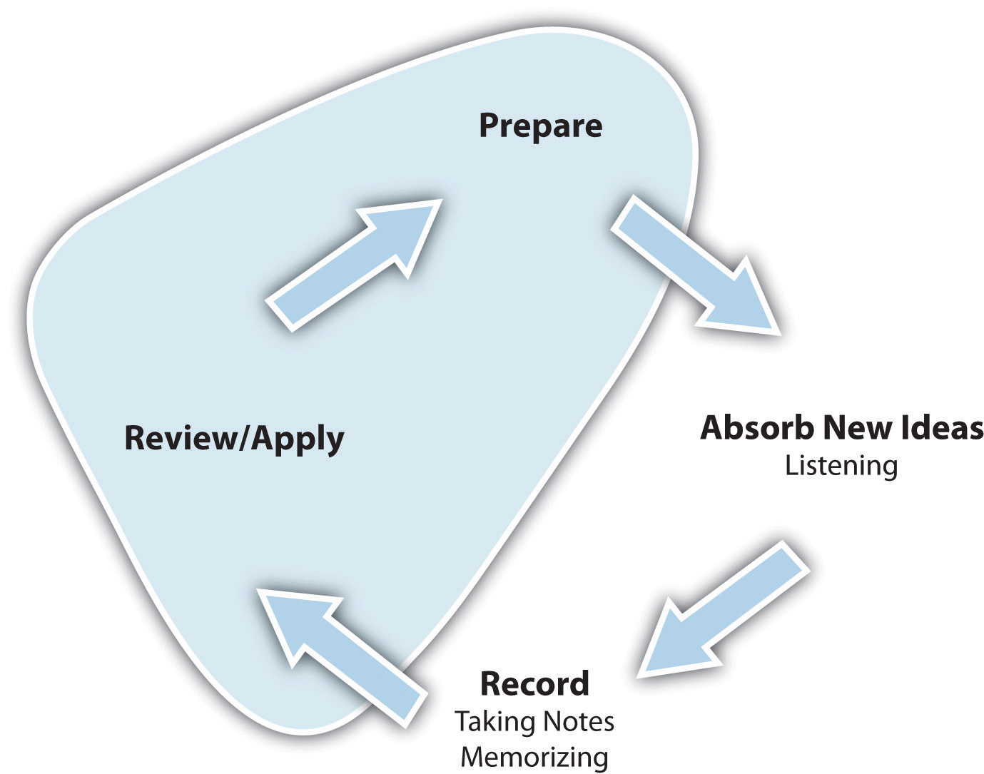 Image result for Â âThe Learning Cycle: Review and Applyâ