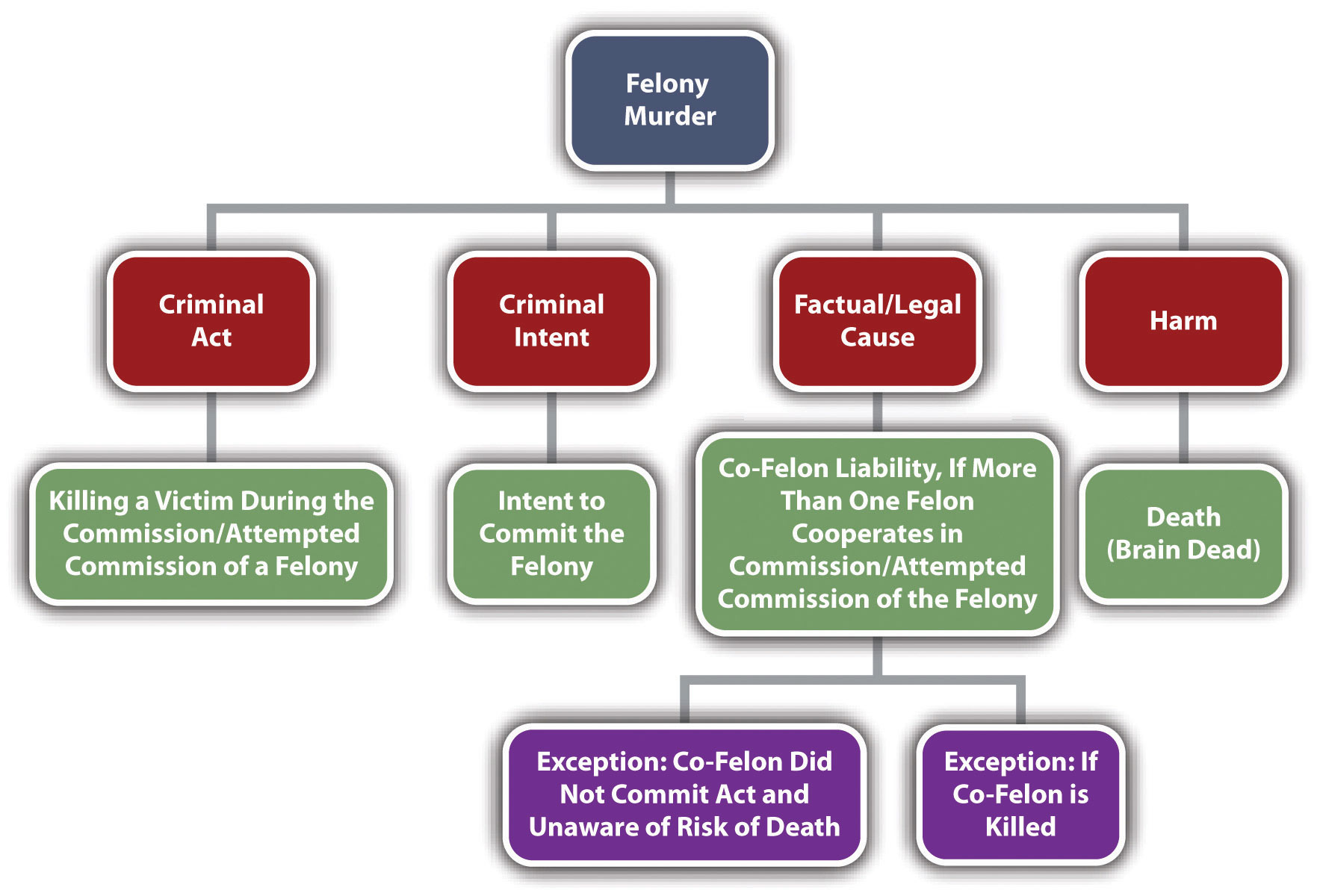 Criminal Homicide 4677