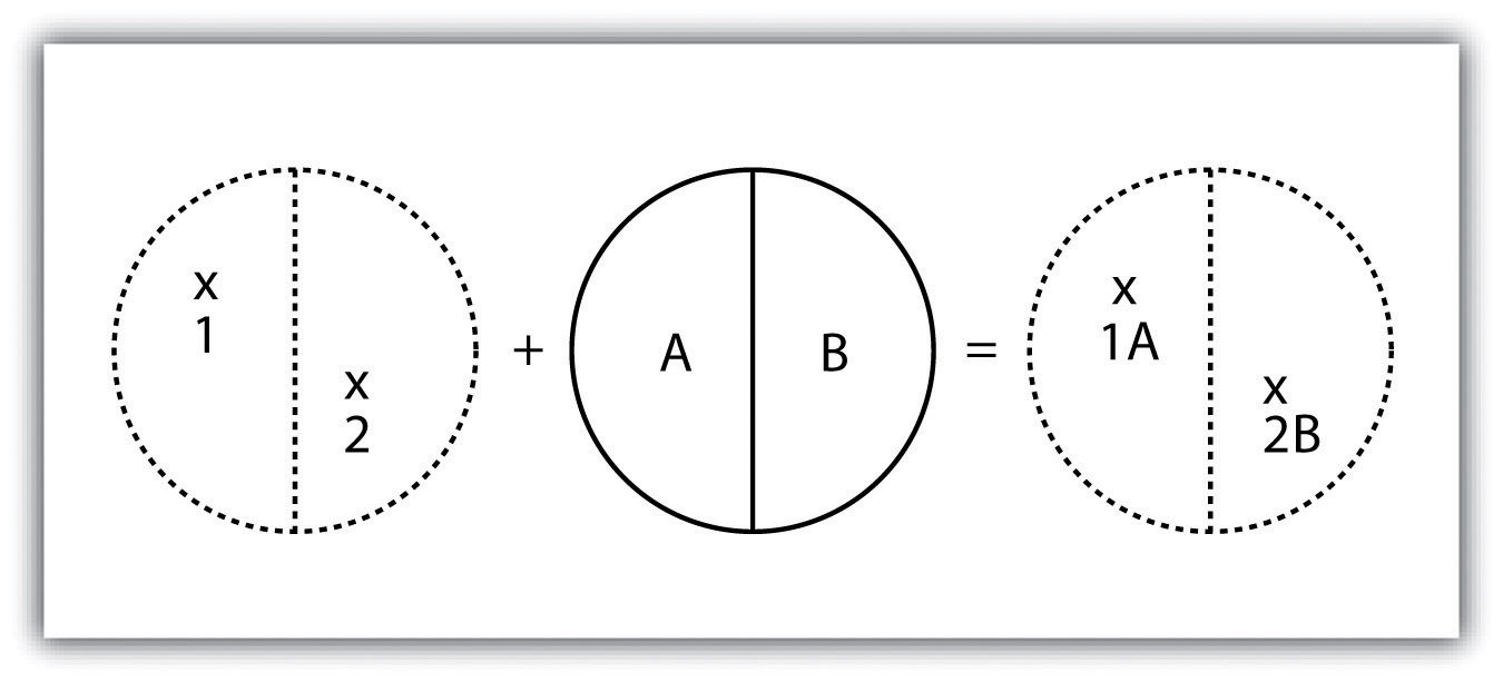 vector raster point line polygon