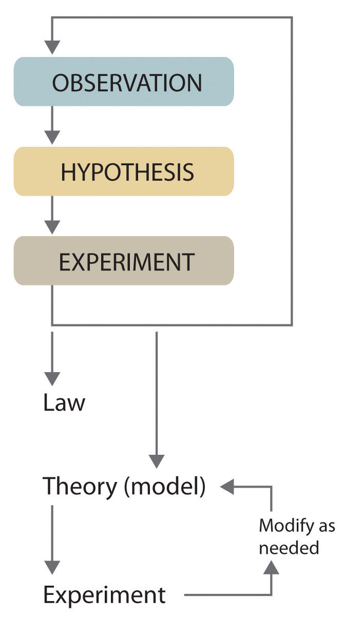 scientific method theory hypothesis