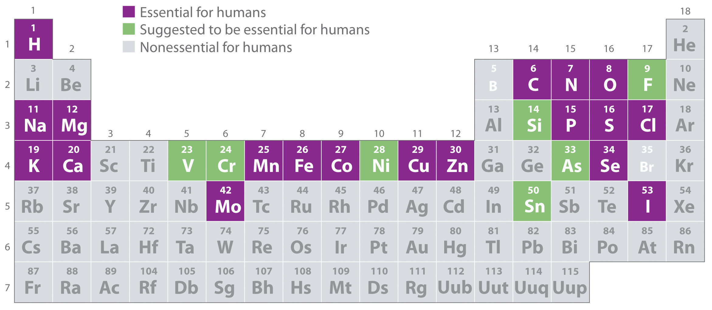 Essential Elements for Life