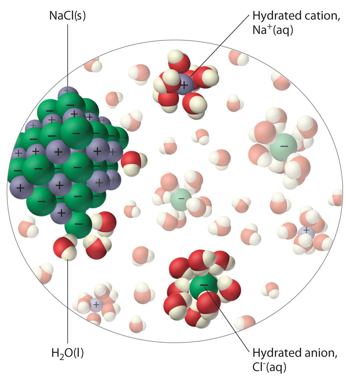 diffusion of sodium chloride in water experiment