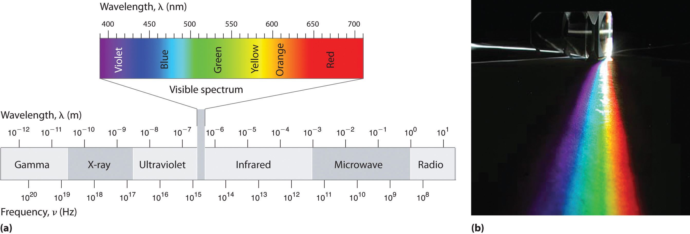 electromagnetic spectrum diagram labeled