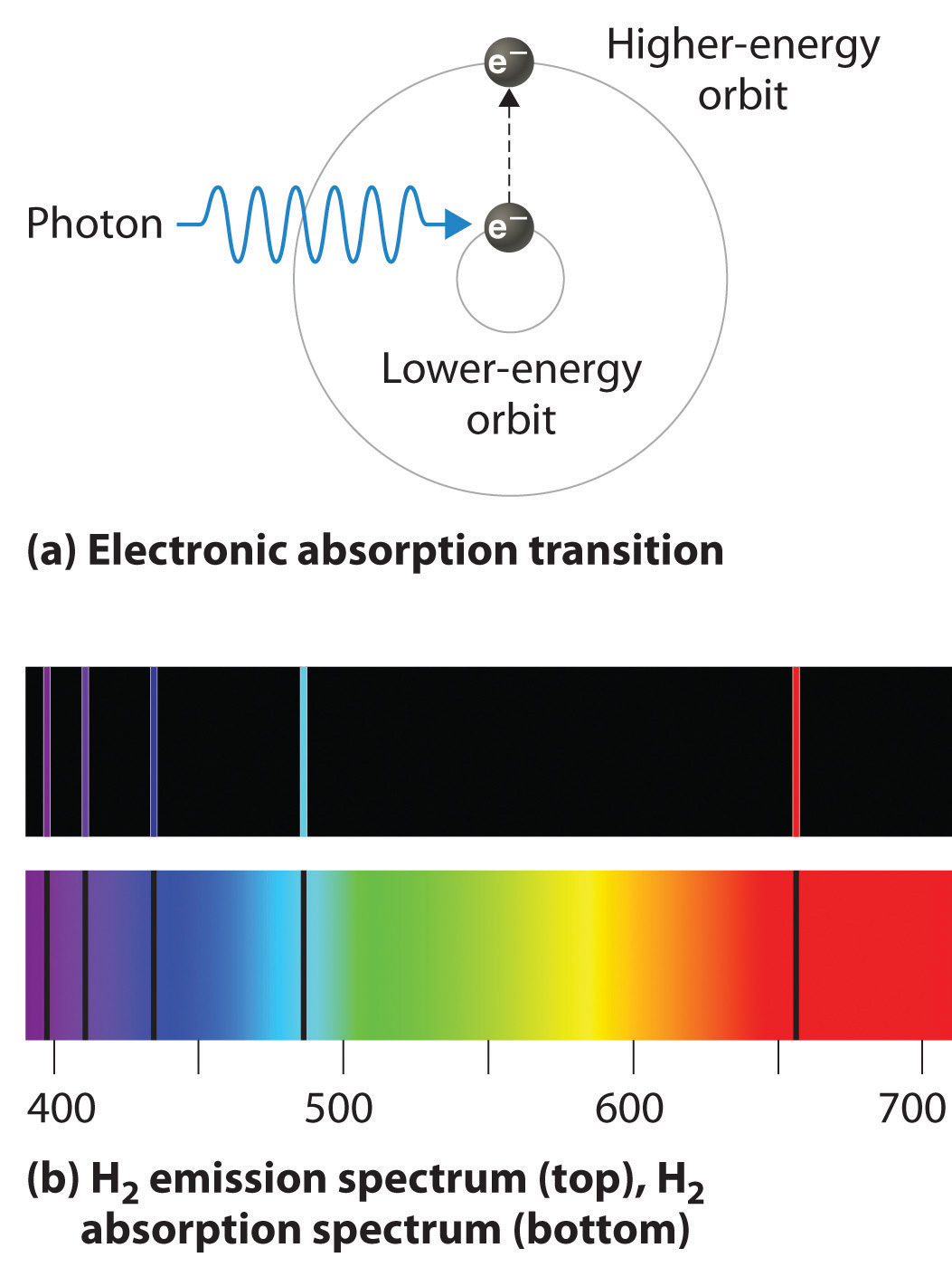 Atomic Spectra Light Energy And Electron Structure Lab Answer Key 79+ Pages Answer [3mb] - Latest Update 