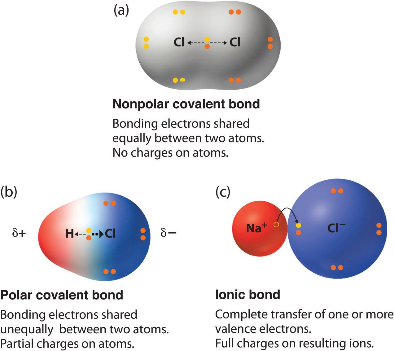 Single Covalent Bond Vs Double Covalent Bond