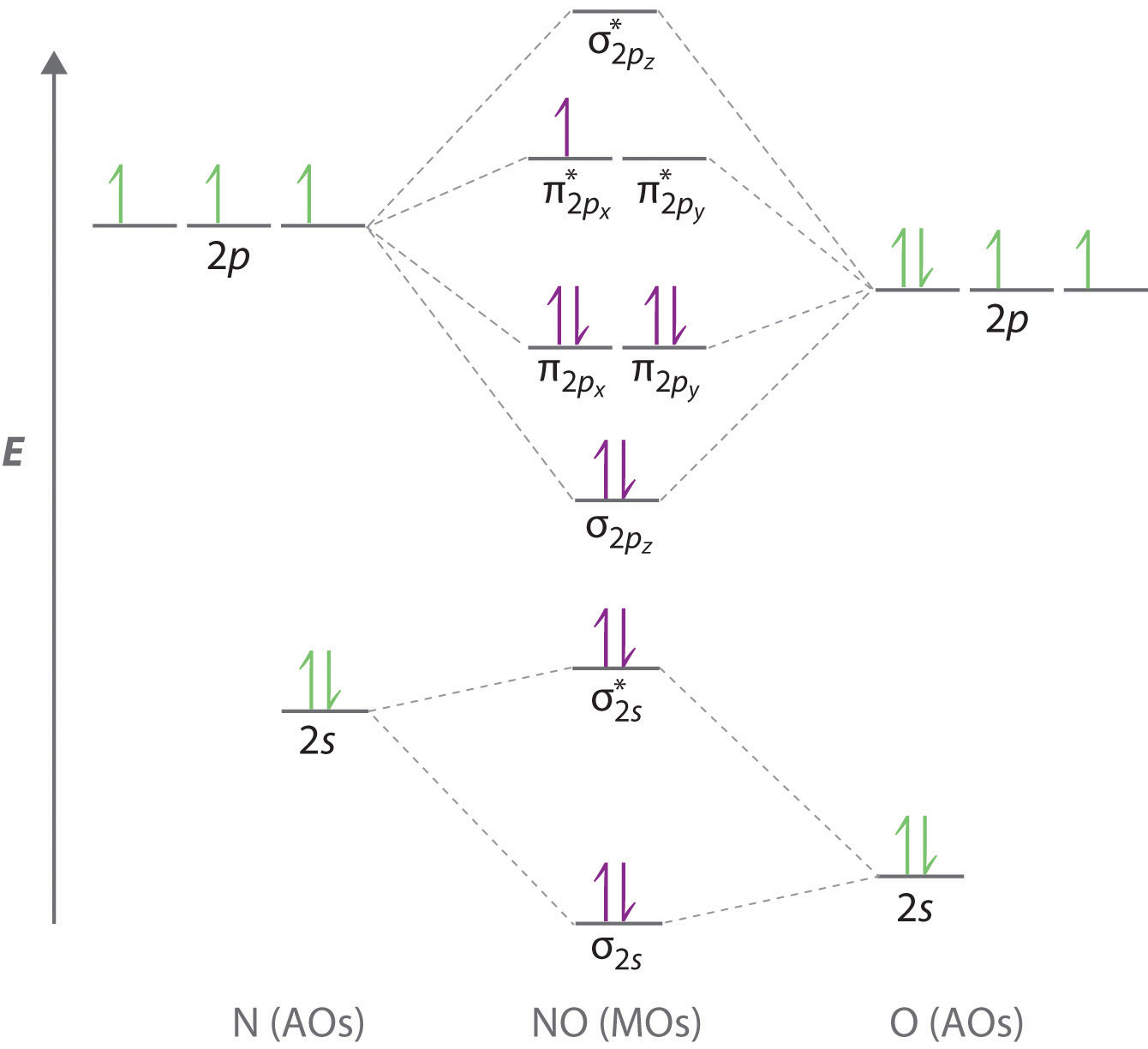 molecular orbital diagram for li2