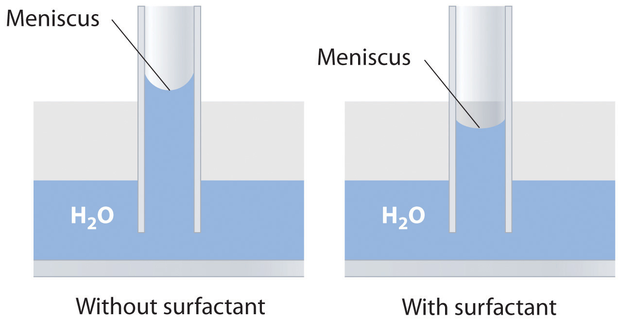 adhesion of water meniscus