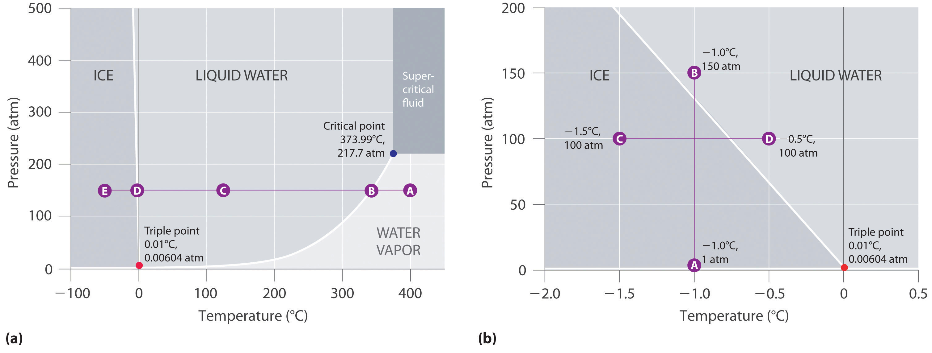 Complete phase diagram for potato (with nucleation points for ice