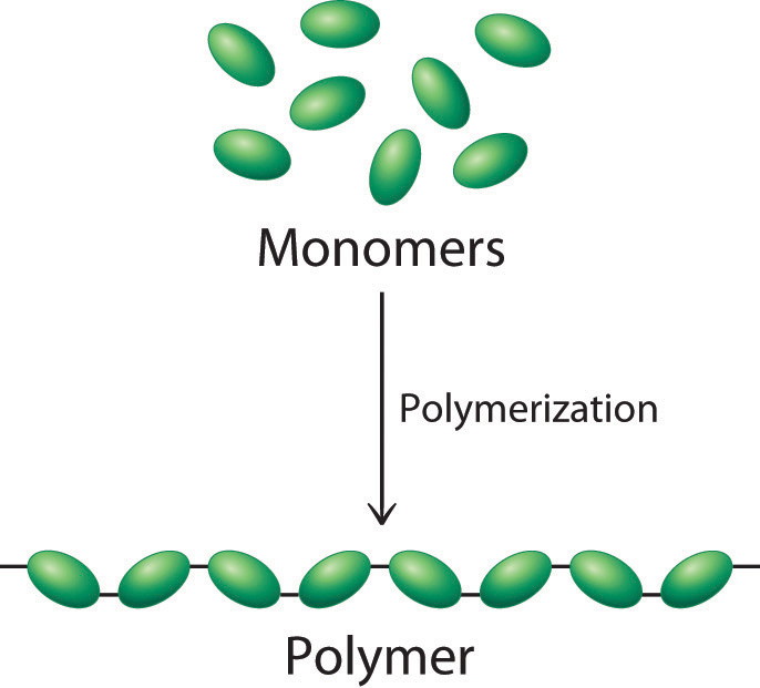 polymers and monomers examples