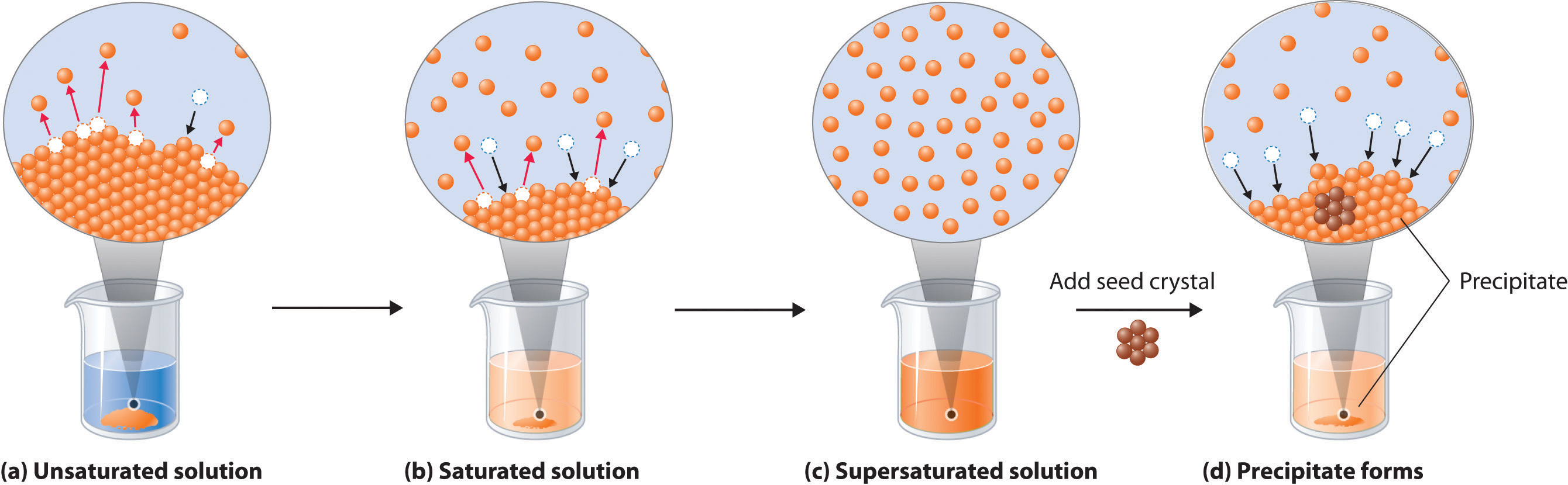 Solubility And Molecular Structure