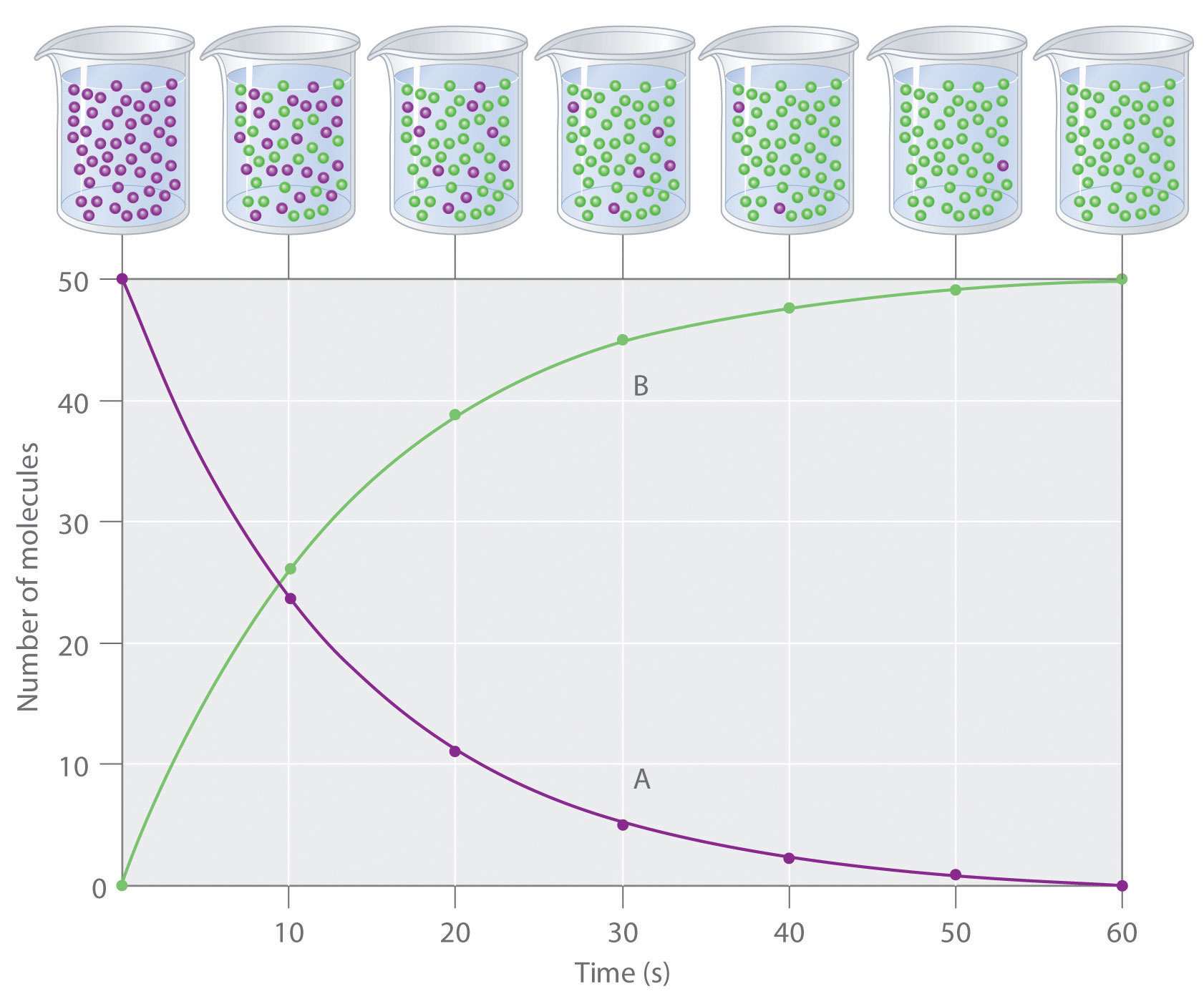 Reaction Rates and Rate Laws