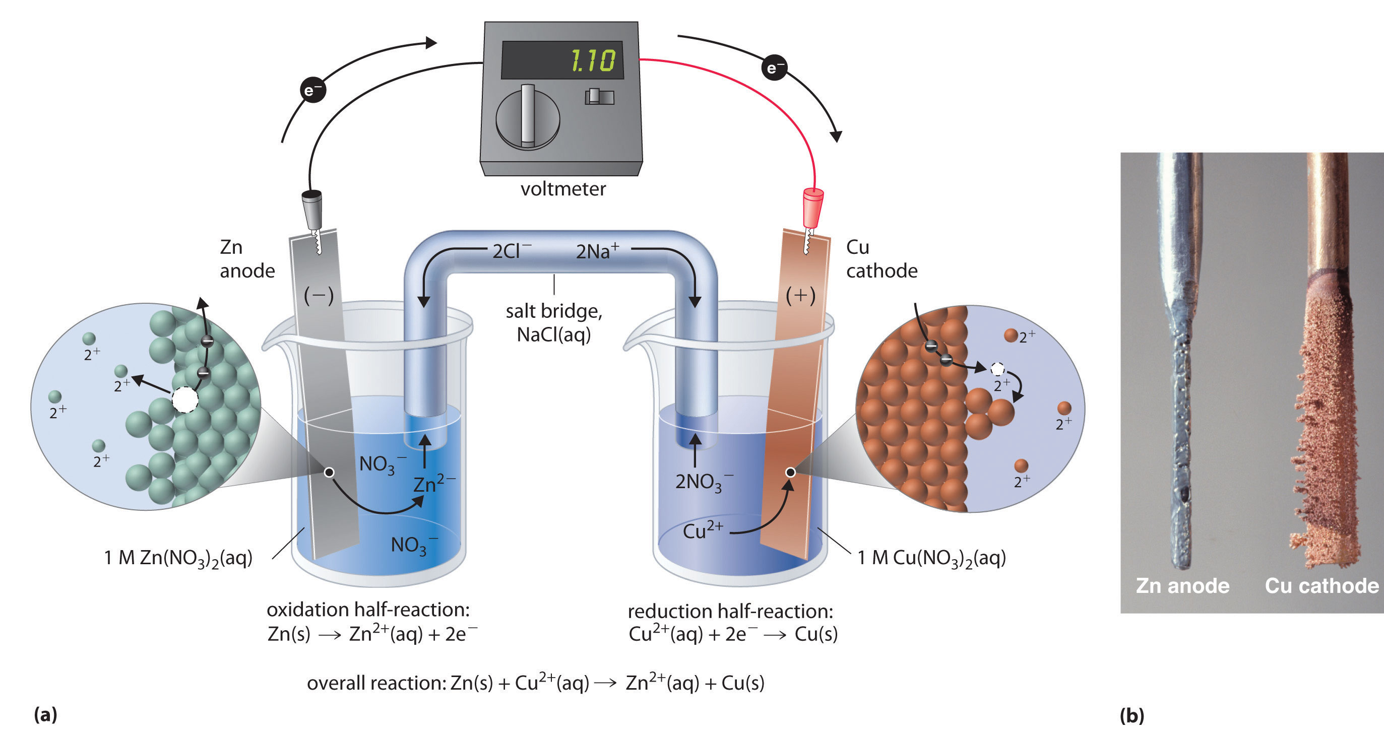 Which Statement Describes The Reactions In An Electrochemical Cell