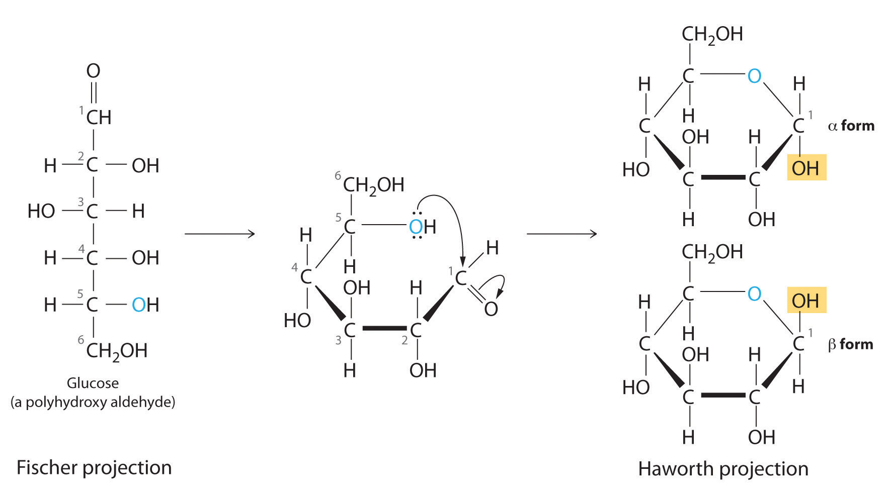 simple lipid molecule