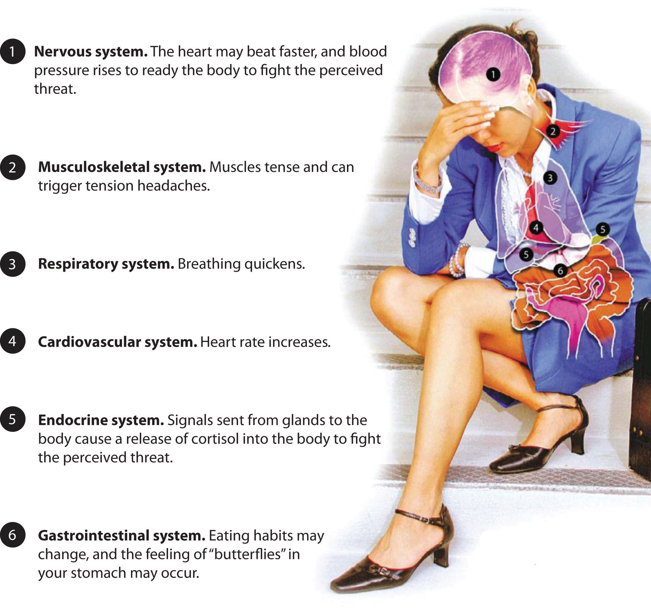 Physiological effects of stress on the nervous, musculoskeletal, respiratory, cardiovascular, endocrine, and gastrointestinal system