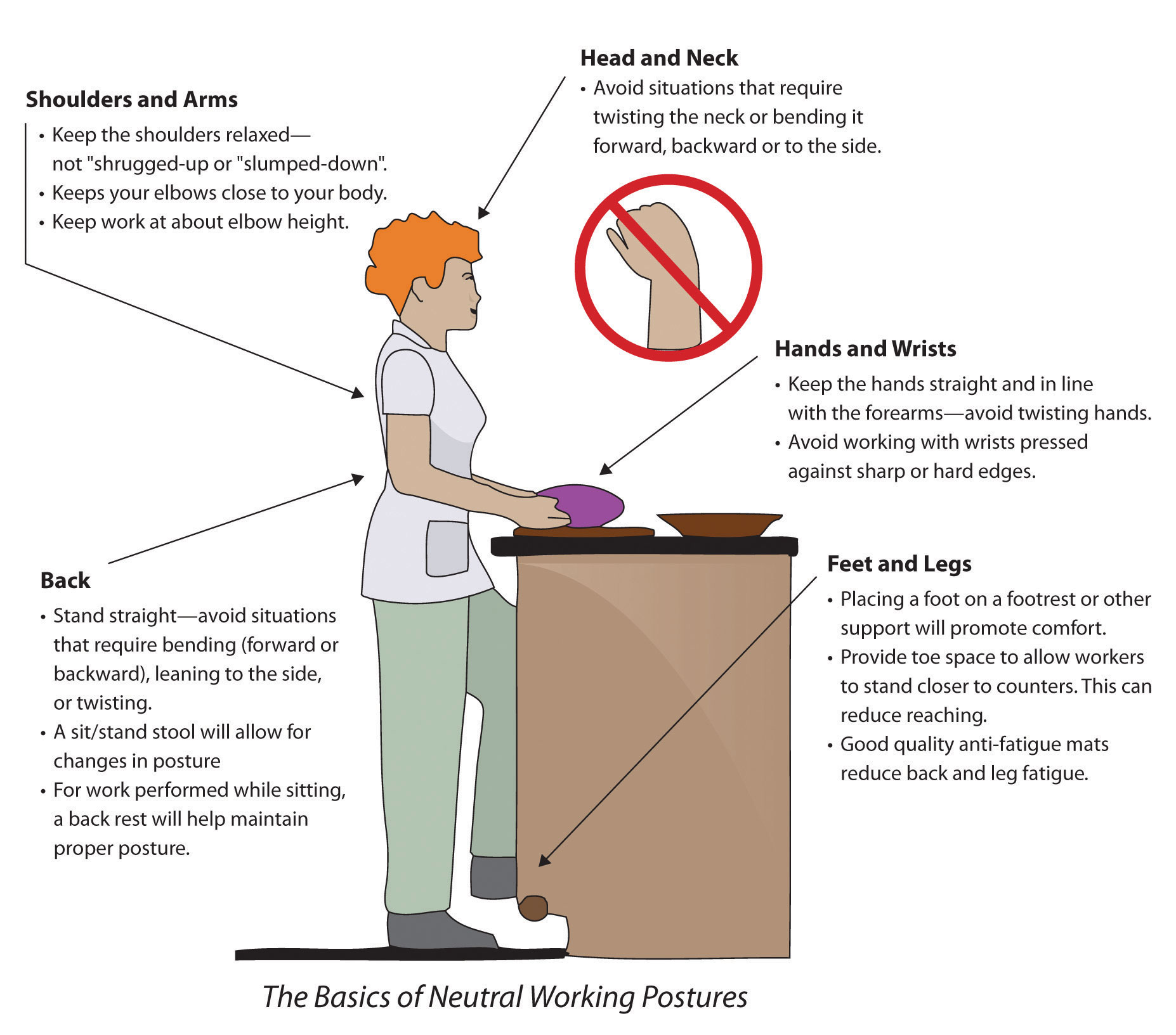 Learn OSHA's Ergonomic Guidelines to Create a Healthy Workplace
