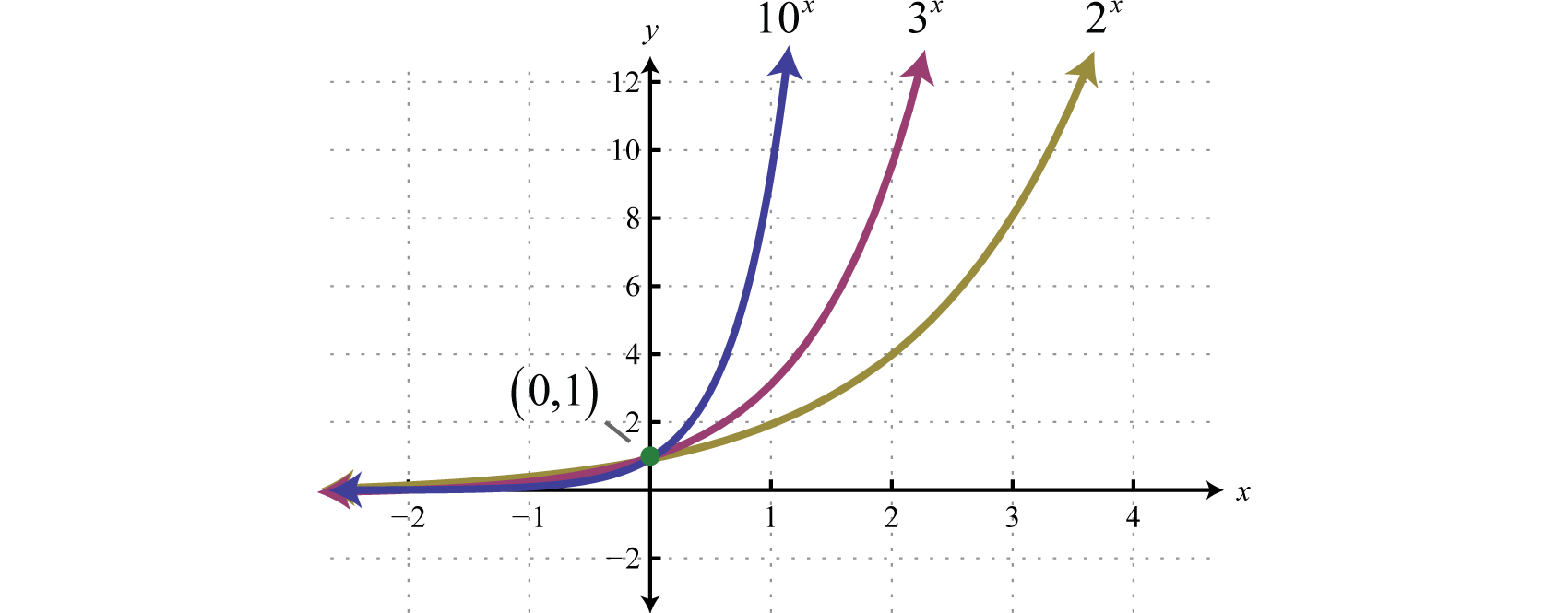 exponential function graph examples