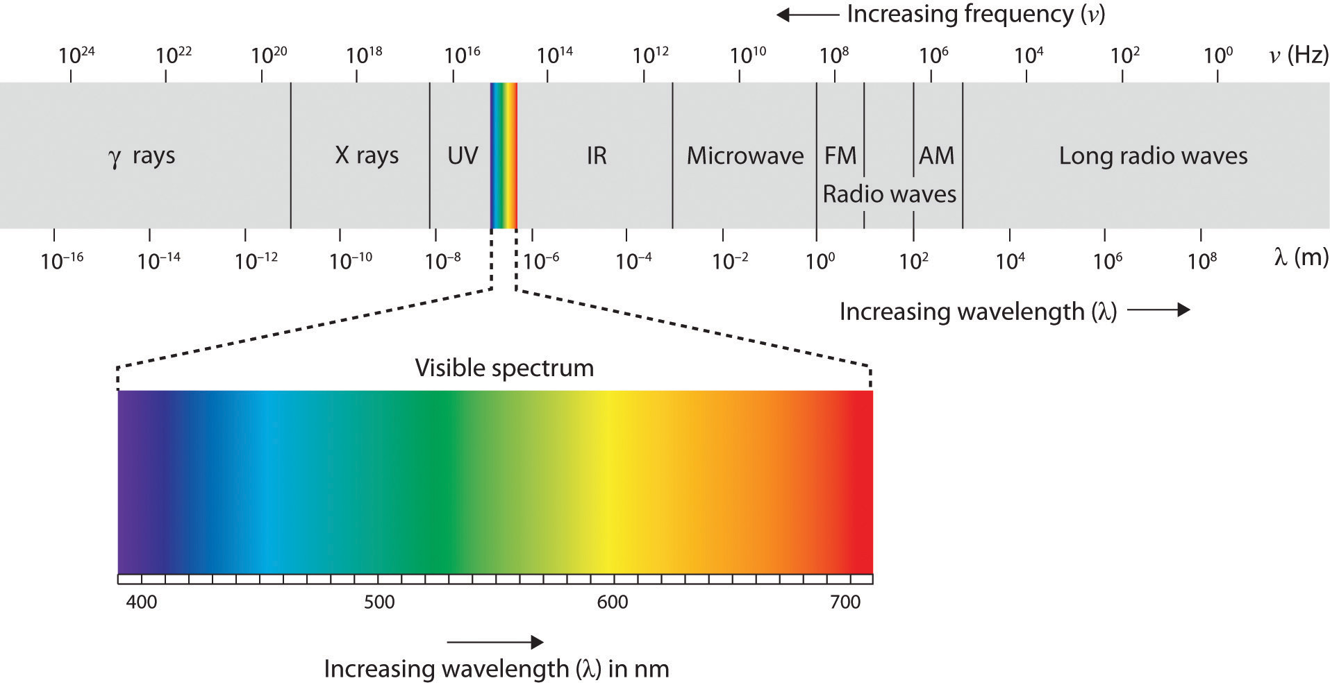 Humans Can Only See 1 Of The Visible Light Spectrum