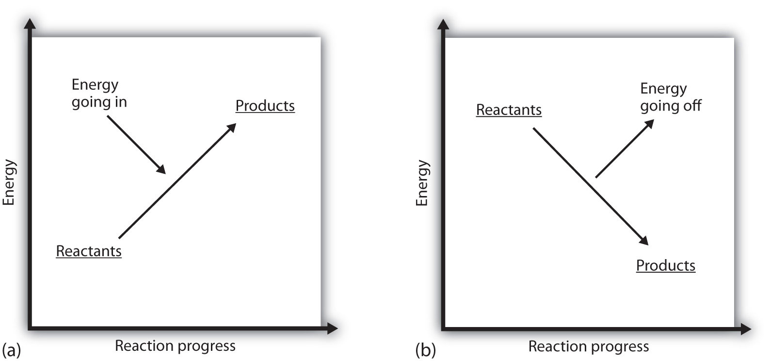 (a)	The endothermic reaction absorbs energy as the reaction takes place. As a consequence, the enthalpy of the products is greater than the reactant ones. Thus, the reaction colds down the surroundings. (b)	The exothermic reaction releases energy as the reactions take place. As a consequence, the enthalpy of the products is lower than the reactant ones. Thus the reaction heats up the surroundings.
