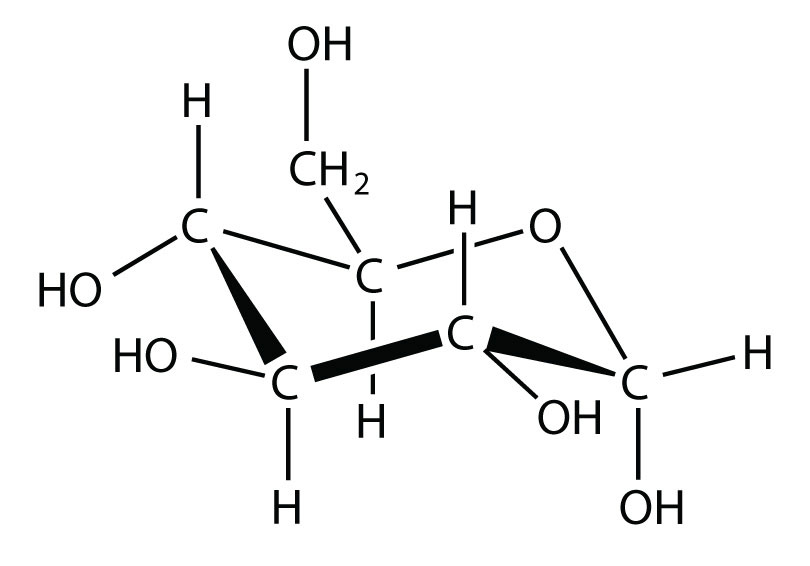This image shows, Structural formula of monosaccharide Glucose. 