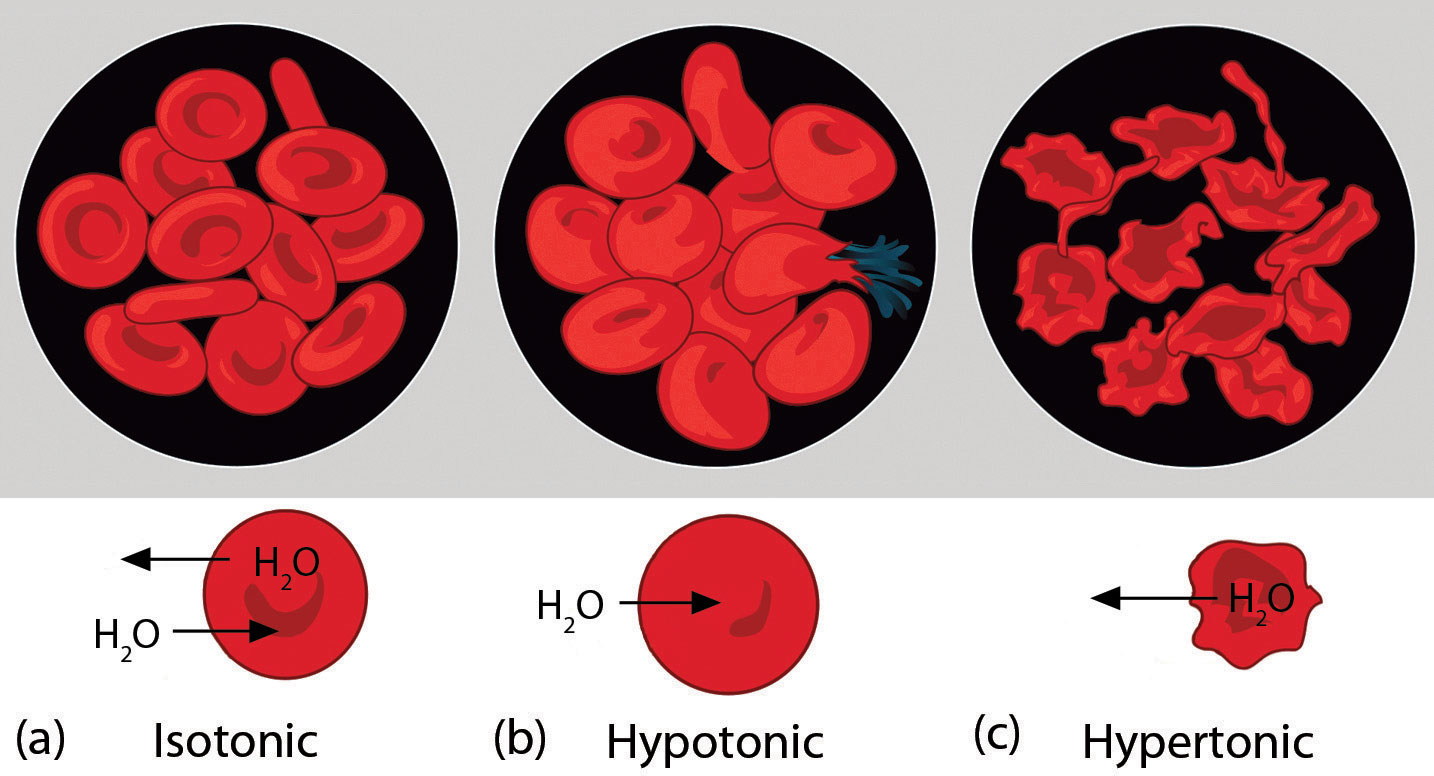 Chapter 10 Solutions CHE 110 Introduction To Chemistry Miles 