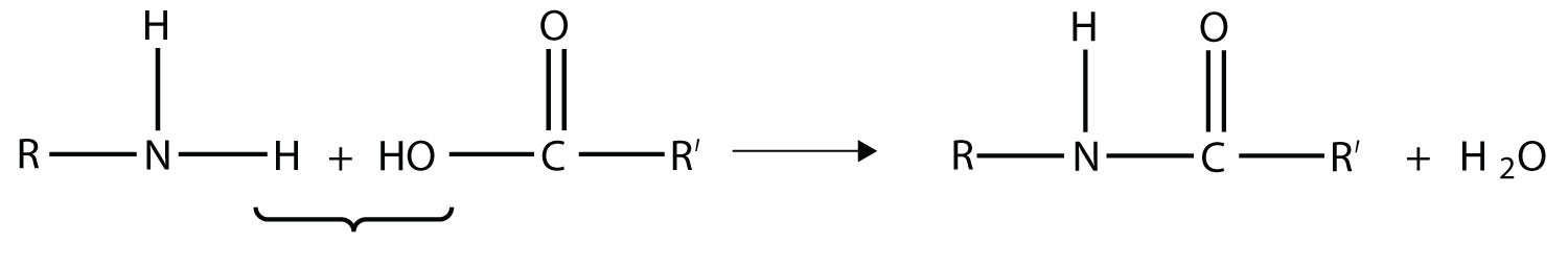 The amide bond formation is an example of polymerization.