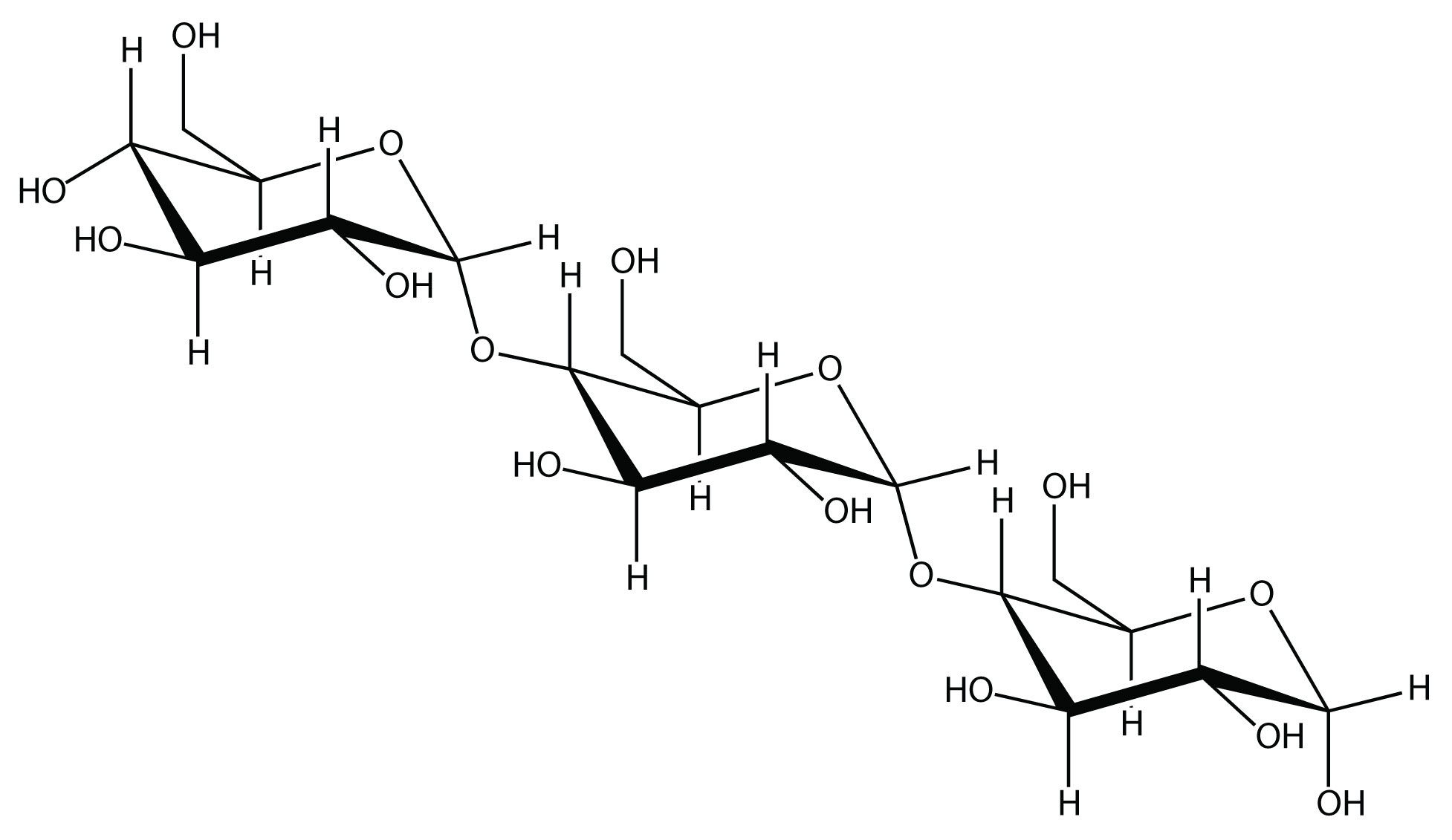 -	Starch is a polysaccaride (polymer) formed by many monomers (monosaccaride). 