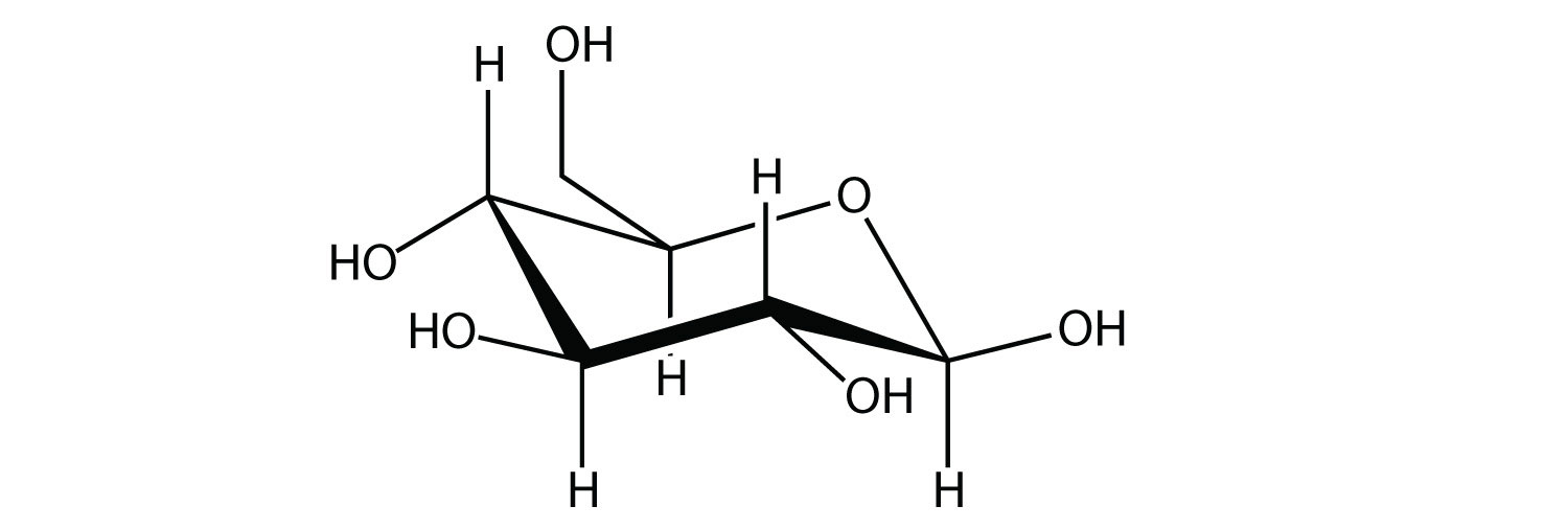 -	Example of glucose molecule (monomer of polysaccaride (polymer)).