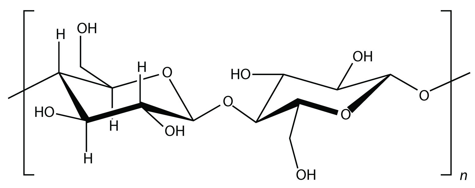 -	Cellulose is a polymer that is major component of cell walls of plants.