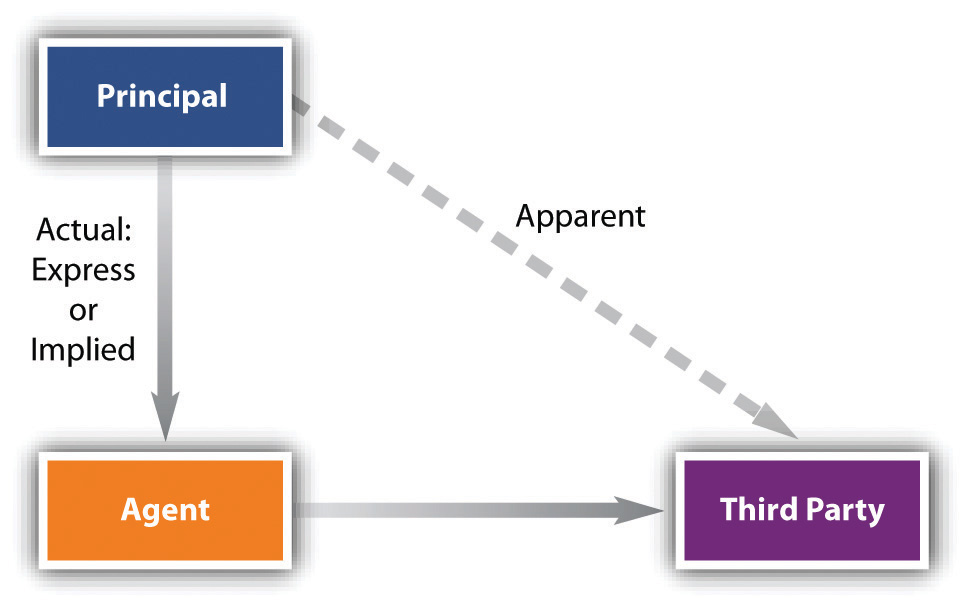 difference between actual authority and apparent authority