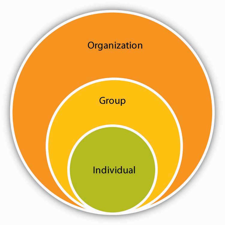 organizational behavior in the workplace