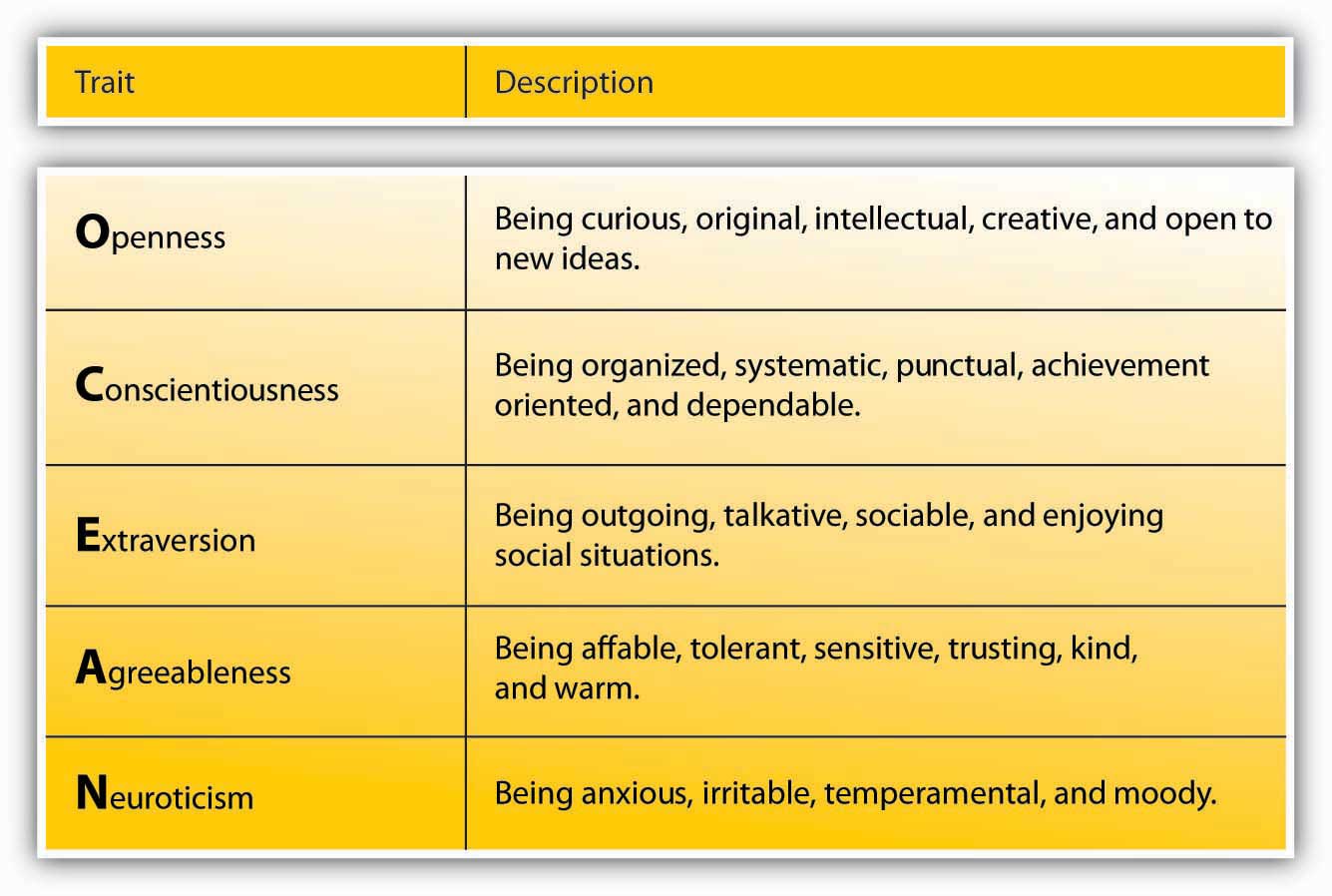 Acquired vs innate personality traits in the workplace - TestGorilla