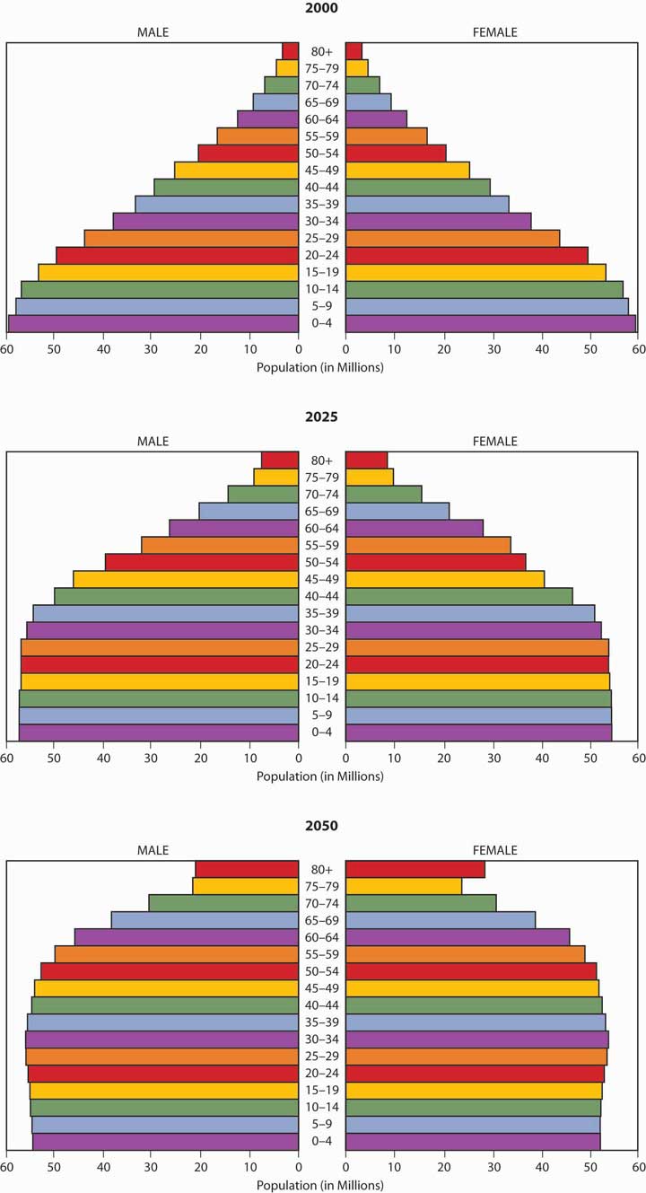 Global Trends and Their Impact on Demography and the Life Cycle Risks