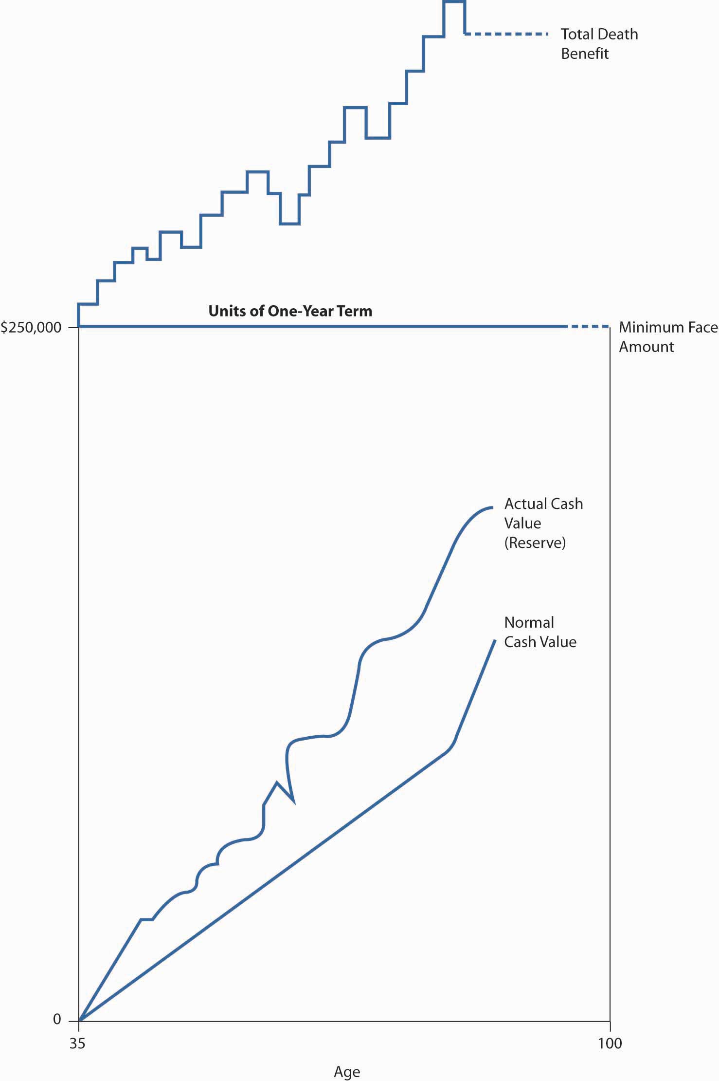 Whole Life Insurance Cash Value Chart