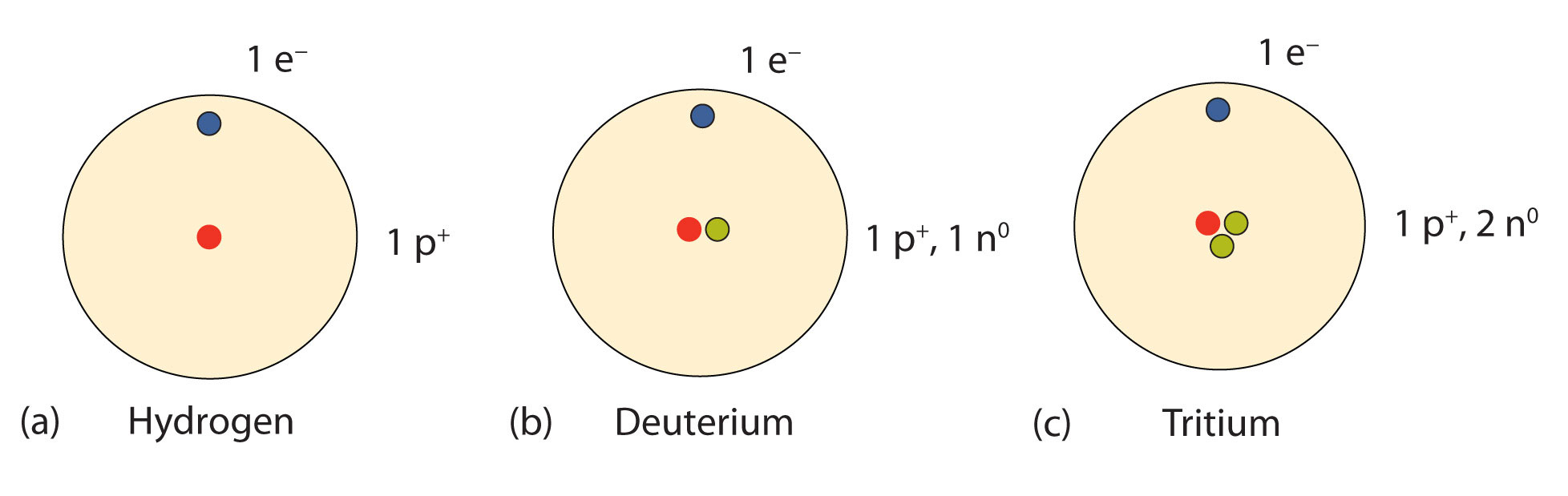 How Many Protons Do Hydrogen Atoms Contain