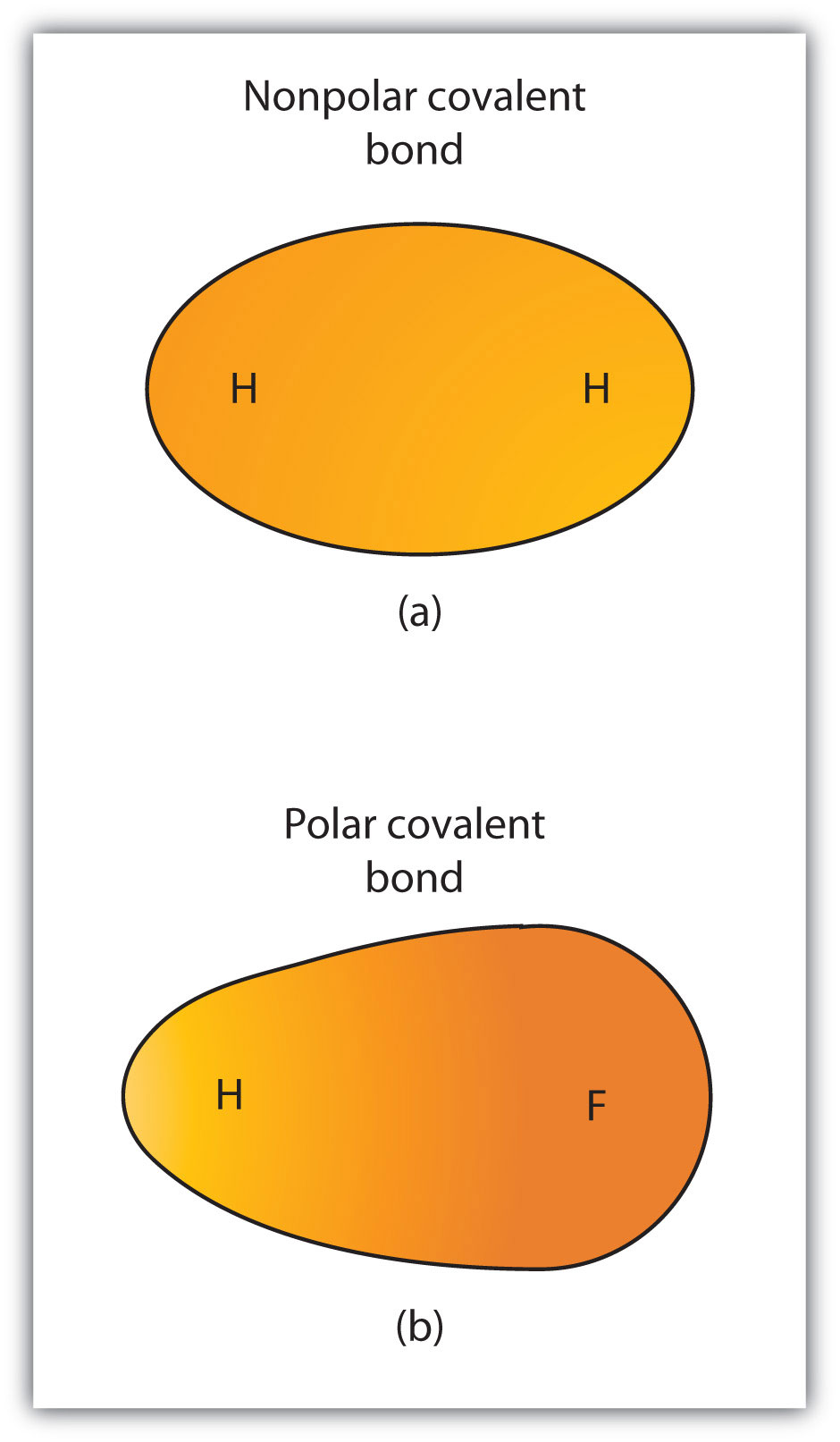  Characteristics Of Covalent Bonds 