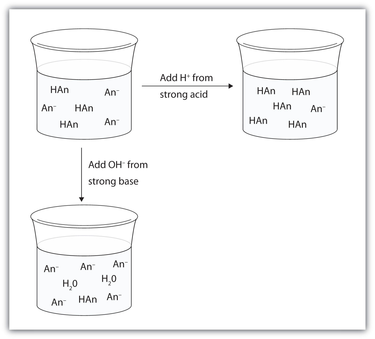 choosing-between-tae-buffer-and-tbe-buffer-for-agarose-gel