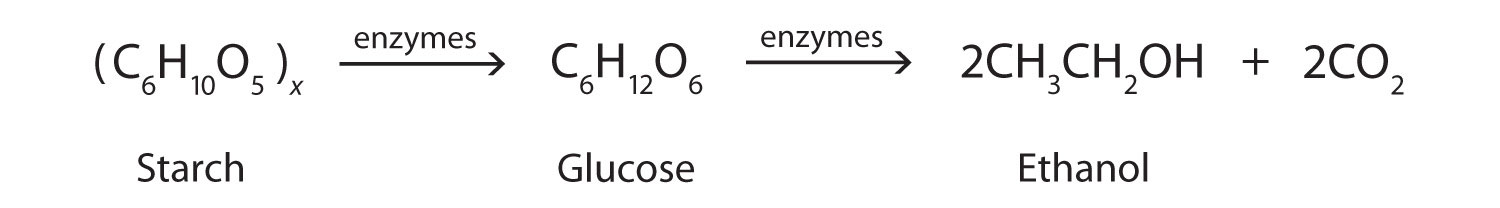 yeast fermentation equation